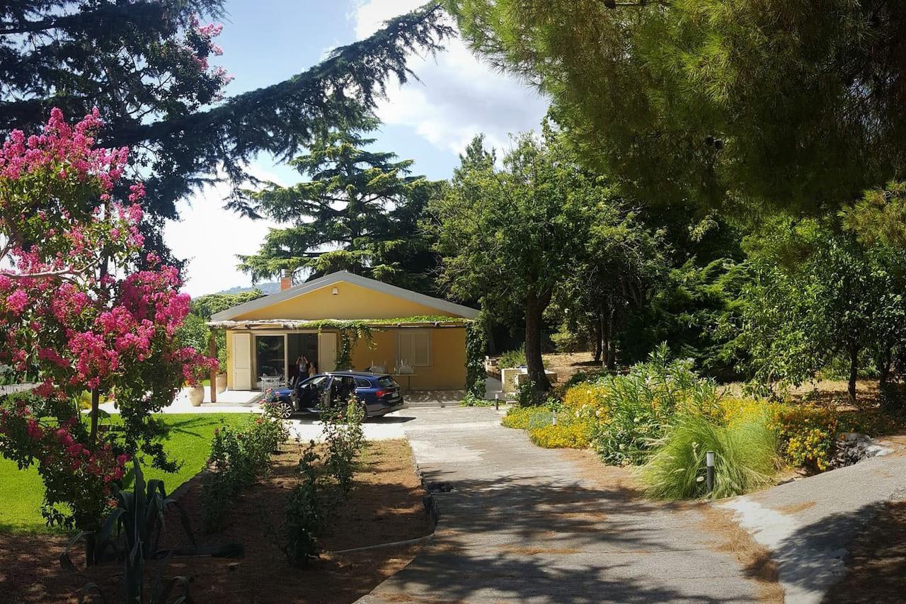 Villa Palm Hill Piedimonte Etneo Exterior foto