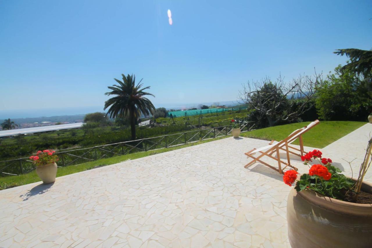 Villa Palm Hill Piedimonte Etneo Exterior foto