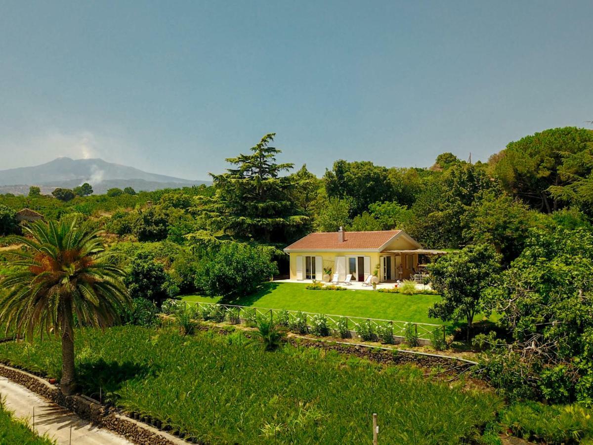 Villa Palm Hill Piedimonte Etneo Exterior foto